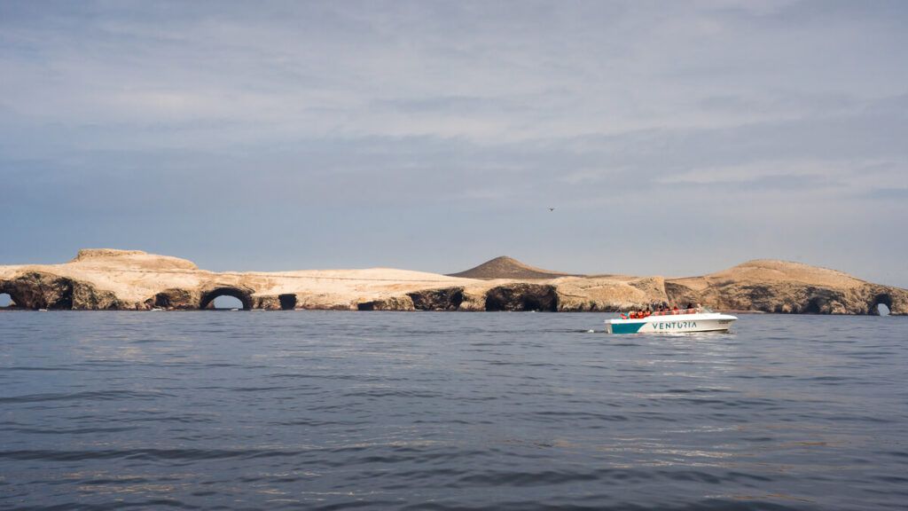 Tour Exclusivo Islas Ballestas