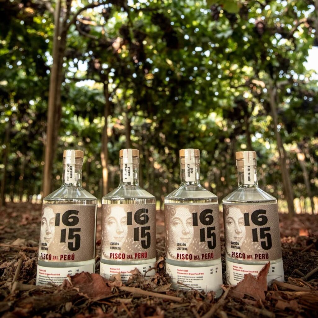 Pisco Experience at 1615