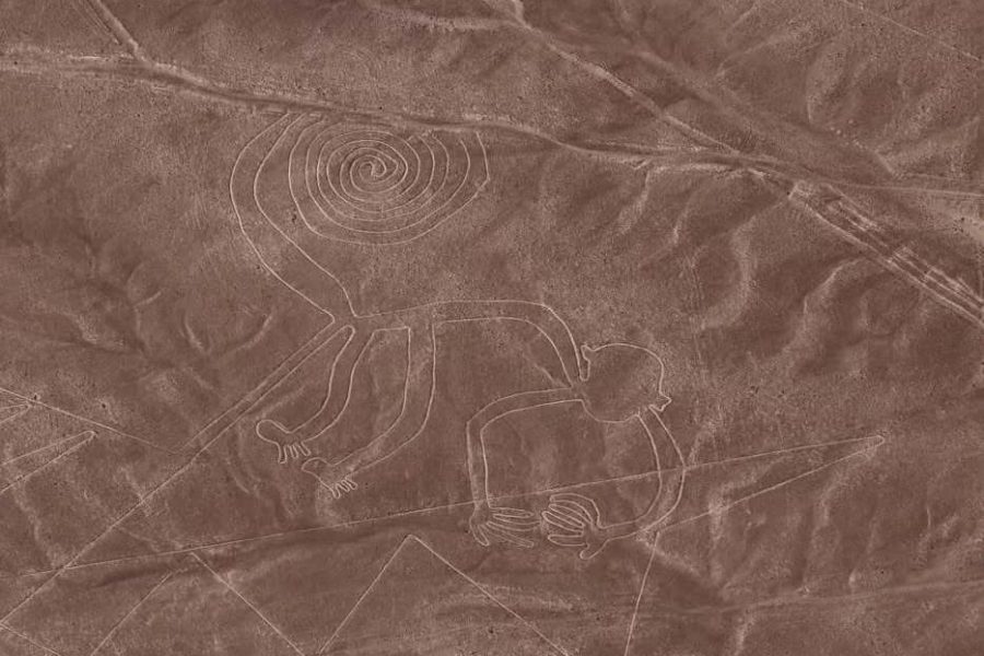 Sobrevuelo Líneas de Nazca desde el aeropuerto de Pisco