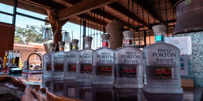 Tour Premium de Pisco y Experiencia del Vino