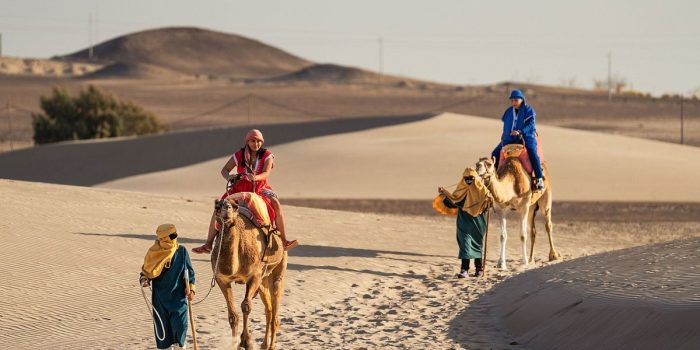 Half-Day Dromedary Tour from Paracas Perú