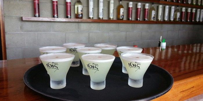 Pisco Experience at 1615 from paracas