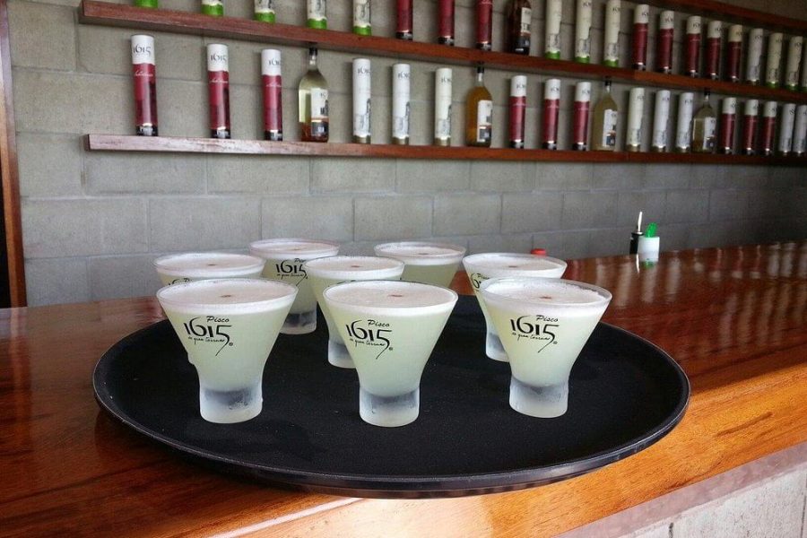 Pisco Experience at 1615 from paracas
