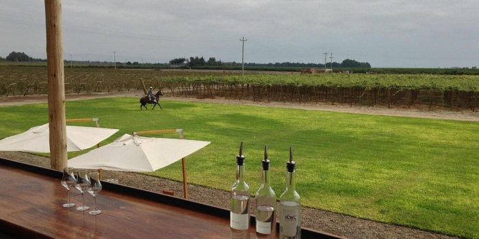 Pisco Experience at 1615 peru