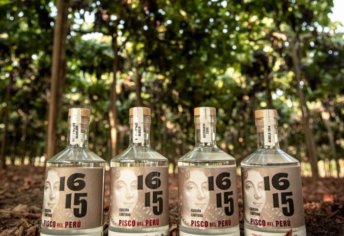 Pisco Experience at 1615