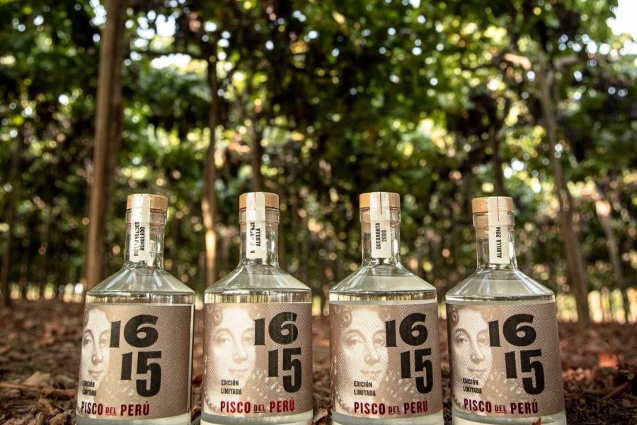 Pisco Experience at 1615