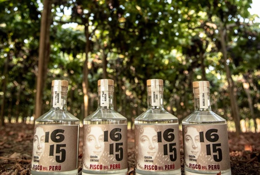 Pisco Experience at 1615