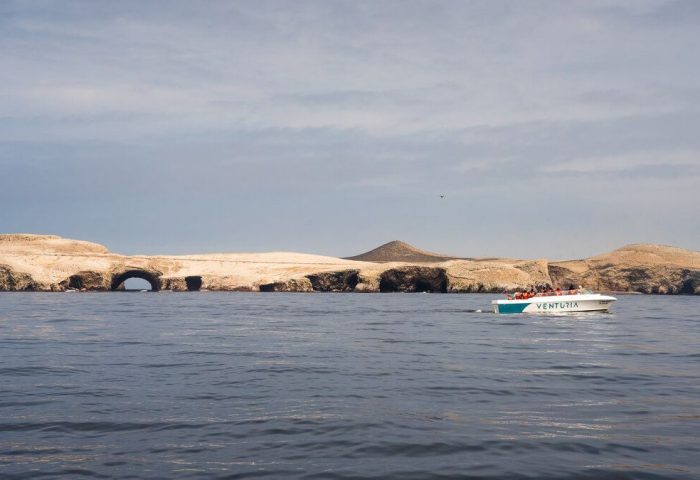 Tour Exclusivo Islas Ballestas