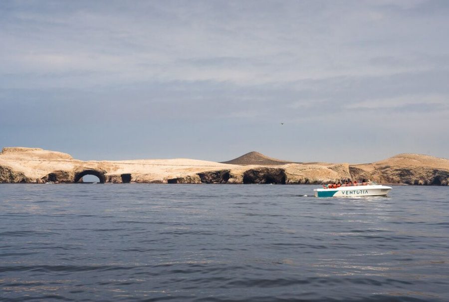 Tour Exclusivo Islas Ballestas