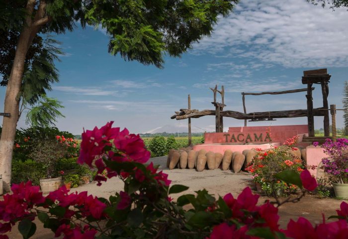 Ruta Tradicional del Pisco y vino