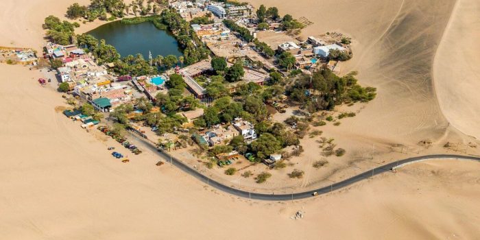 Experiencia de Vino – Pisco y Aventura en la Oasis de Huacachina