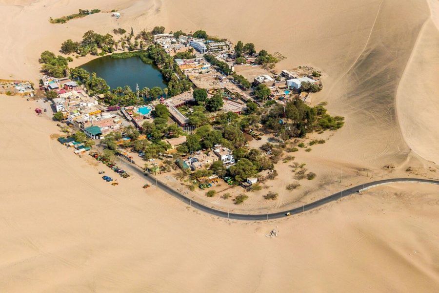 Experiencia de Vino – Pisco y Aventura en la Oasis de Huacachina