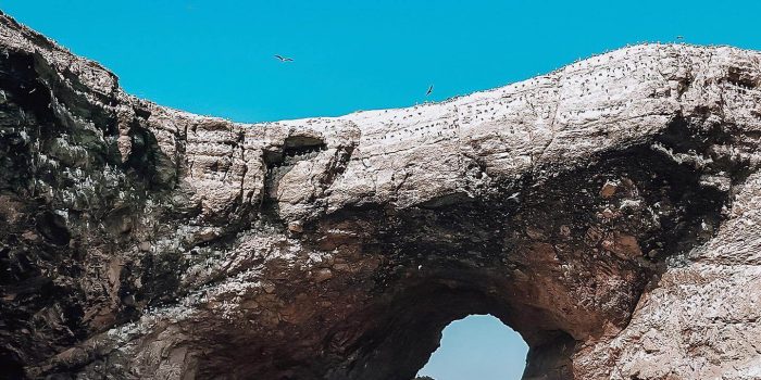 islas ballestas (1)