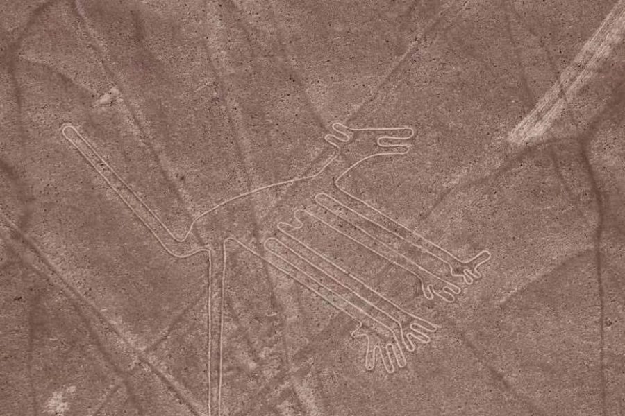 Sobrevuelo Líneas de Nazca desde el aeropuerto de Pisco