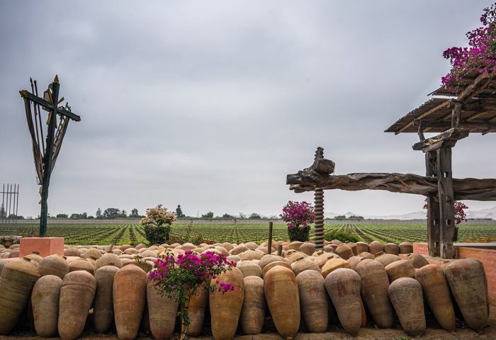 Experiencia Exclusiva de vinos y Piscos