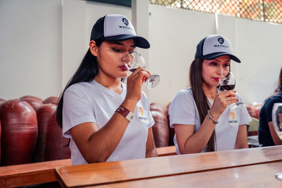 Queirolo + Tacama Vineyards